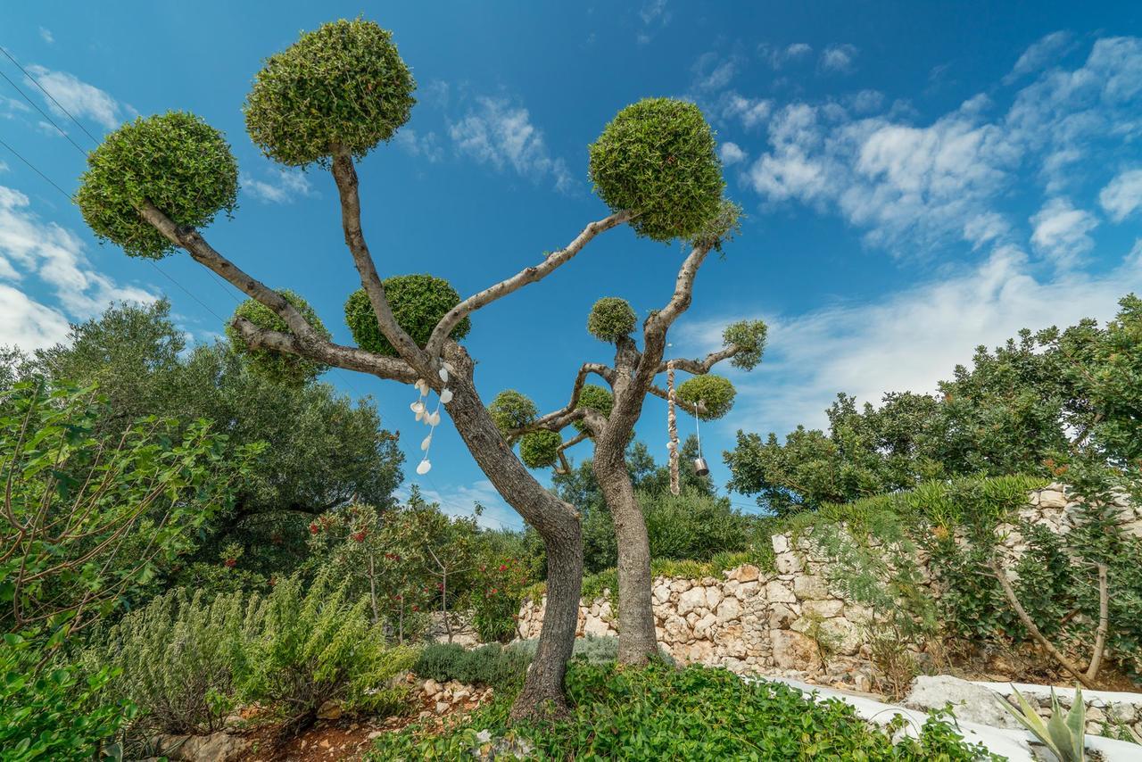 Askos Stone Villa - The Island Panorama Agios Nikolaos  Eksteriør billede
